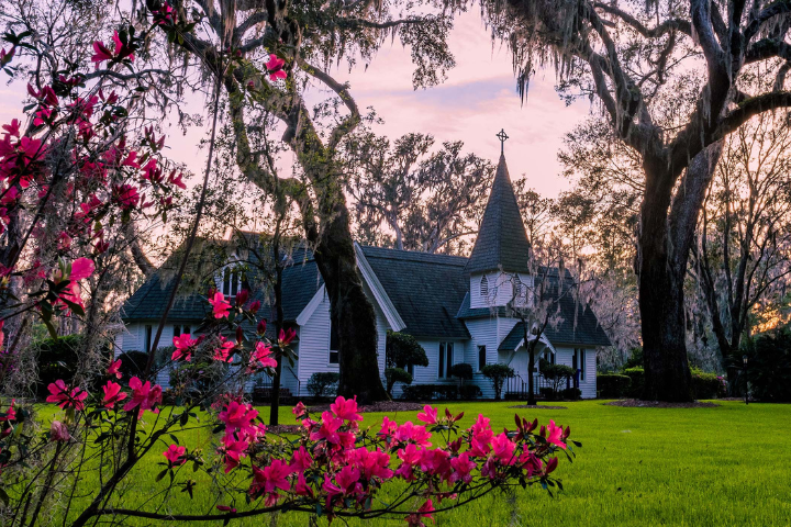 spring-on-st-simons-island.png