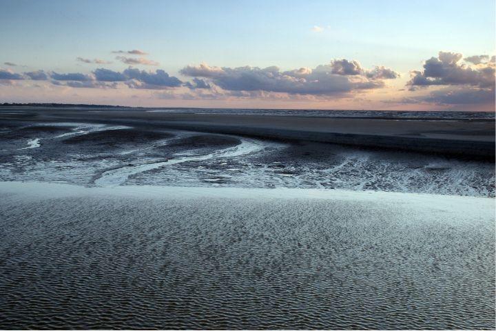 Driftwood Beach in St. Simons Island, Georgia